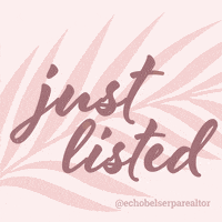 echobelser real estate realtor just listed new listing GIF