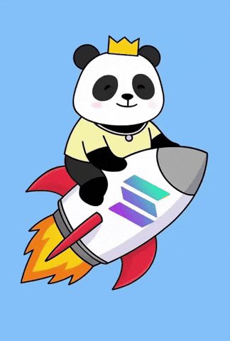 Rocket Solana GIF by Pandu Pandas