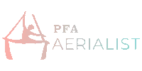 Aerialist Silks Sticker by Pole Fitness Academy