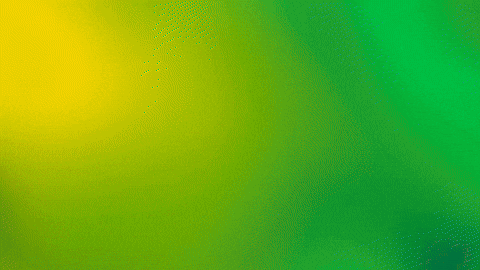 Zpf GIF by Zomerparkfeest