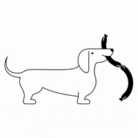 Bayerische_Staatsoper  GIF