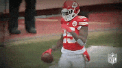 Kansas City Chiefs GIF by NFL