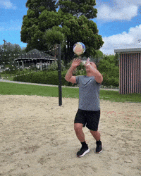 Volleyball Volley GIF