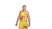 Celebration Basketball Sticker by Trefl Sopot