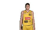 Basketball Block Sticker by Trefl Sopot