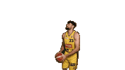 Celebration Basketball Sticker by Trefl Sopot