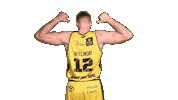 Basketball Koszykowka Sticker by Trefl Sopot