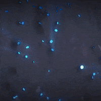 Lets Go Reaction GIF by Apex Legends