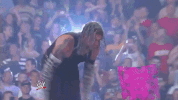 wwe sports wwe wrestling 2008 GIF