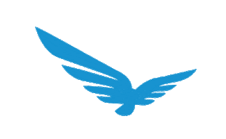 Renewable Energy Sticker by Blue Raven Solar