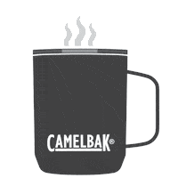 Party Celebrate Sticker by CamelBak