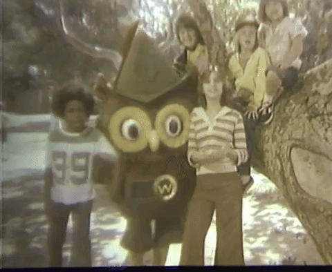 Give a hoot! Don't Pollute!