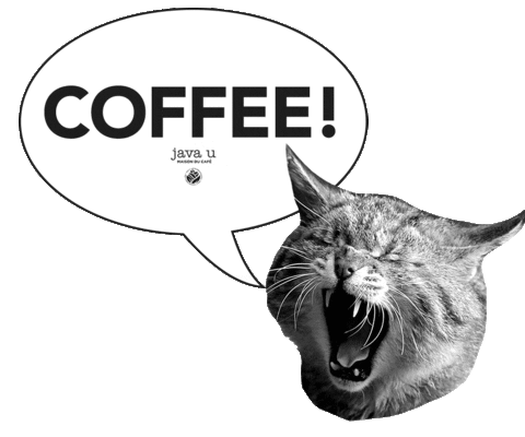 cat coffee Sticker by JavaUOfficial