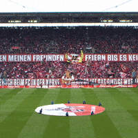 1 Fc Cologne Football GIF by 1. FC Köln