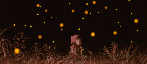 fireflies GIF
