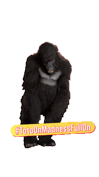 ANDPictures toto fullon andpictures totoonmadnessfullon Sticker