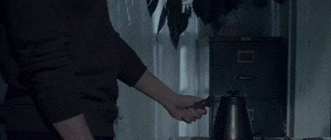 Davidly - Spiders in the Room