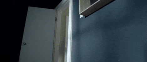 Davidly - Spiders in the Room