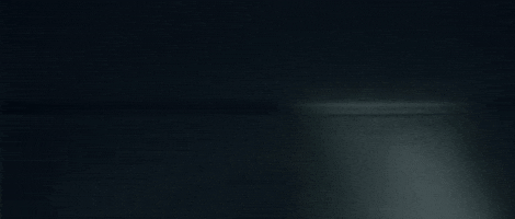 Davidly - Spiders in the Room