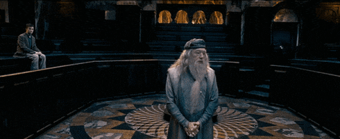quangtrannguyen giphyupload GIF