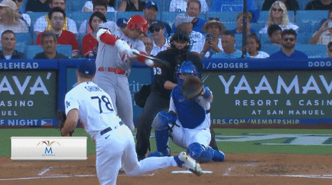 bclemens6 giphyupload GIF