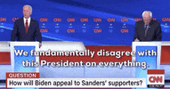 Democratic Debate GIF by GIPHY News