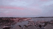 rhode island GIF