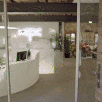 GIF by Red Bull
