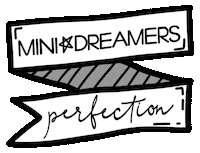 Perfection Sticker by Mini Dreamers