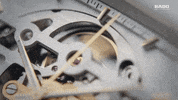 GIF by Oat Foundry