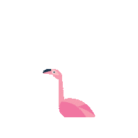 audubonnature flamingo audubon pink flamingo audubon nature institute Sticker