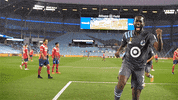 Yell Minnesota United GIF by MNUFC