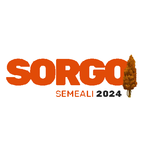 Sorgo Sticker by semealisementes