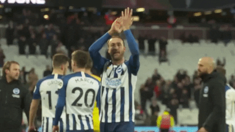 Soccer Futbol GIF by Brighton & Hove Albion Football Club