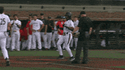 Home Run Celebration GIF by Cincinnati Bearcats