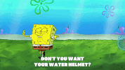 season 9 episode 10 GIF by SpongeBob SquarePants