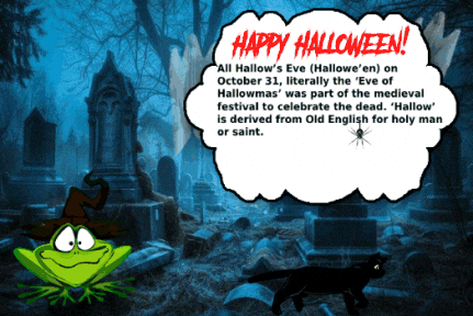 Black Cat Halloween GIF