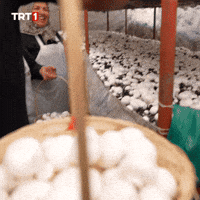 Eat For You GIF by TRT