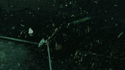 GIF by Luv Films