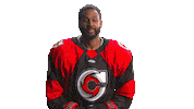 Hockey Echl Sticker by Cincinnati Cyclones