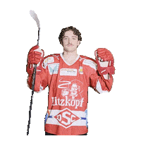 Hockey Sticker by dsc-eishockey