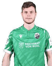 3Liga Wirechtanders Sticker by SV Sandhausen