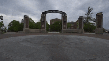 Black And Gold Boilermakers GIF by Purdue University
