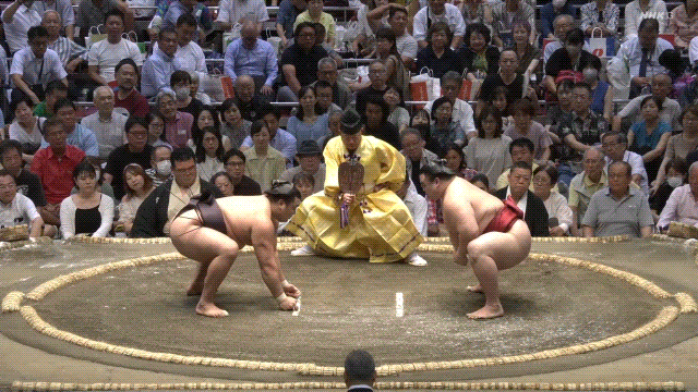 TZ85 giphyupload GIF