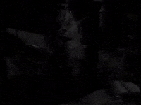 Creature Feature Dracula GIF