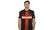 Happy Bayer Leverkusen Sticker by Bundesliga