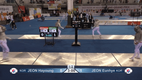 GIF by Fencing Database