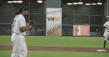 World Series Sport GIF by MLB