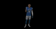 St Brown Yes GIF by Detroit Lions