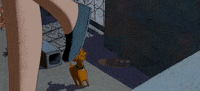 a cat in paris lol GIF by Maudit